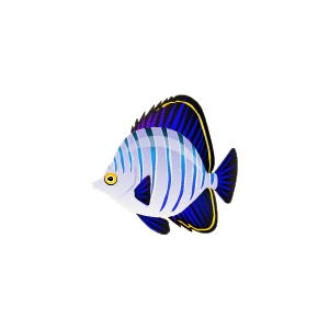 Royal Butterflyfish